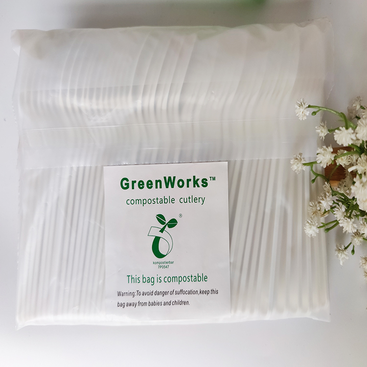 2022 GreenWorks HJ-PLA-02 spoon Compostable eco-friendly biodegradable CPLA spoon in bulk tableware flatware cutlery utensils sets