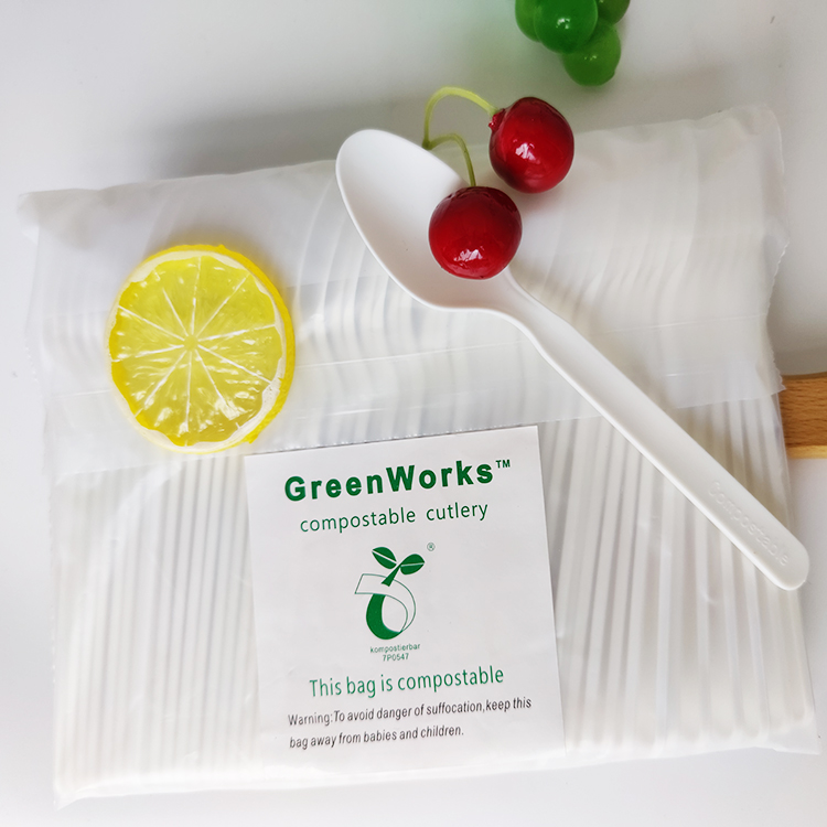 2022 GreenWorks HJ-PLA-02 spoon Compostable eco-friendly biodegradable CPLA spoon in bulk tableware flatware cutlery utensils sets